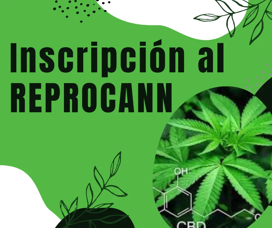 Gráfica informativa sobre REPROCANN